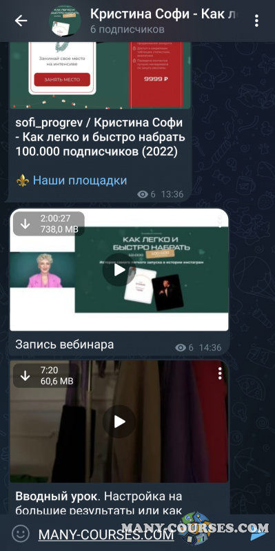 sofi_progrev / Кристина Софи - Как легко и быстро набрать 100.000 подписчиков (2022)